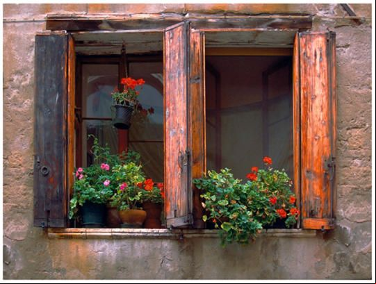 The Due Outdoor Wall Art Features A Giclee Finish Designed To Be Placed In The Elements